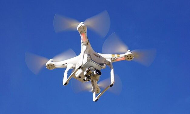 [Vidéo]: En Australie, des corbeaux attaquent des drones de livraison